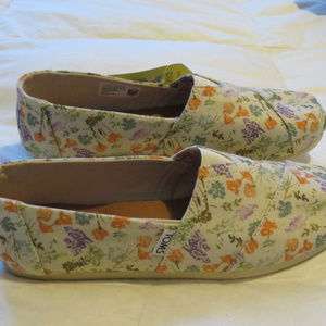 Brand New Toms -- "California Wildflowers" Print